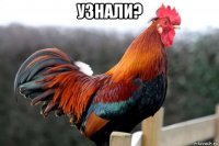 узнали? 