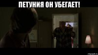 петуния он убегает! 