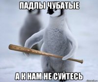 падлы чубатые а к нам не суйтесь