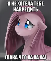 я не хотела тебе навредить (пака что ха ха ха)