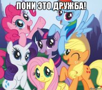 пони это дружба! 