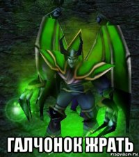  галчонок жрать