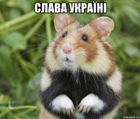 слава україні 