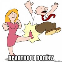  приятного полёта
