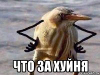  что за хуйня