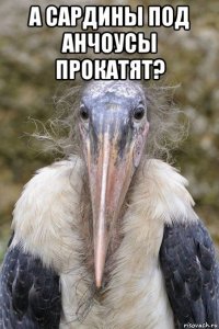 а сардины под анчоусы прокатят? 