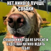 нет никого лучше собаки собака никогда не бросит и будет как хатико ждать тебя!
