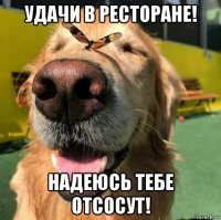 удачи в ресторане! надеюсь тебе отсосут!