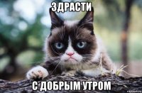 здрасти с добрым утром