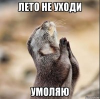 лето не уходи умоляю