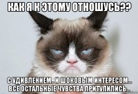 как я к этому отношусь?? с удивлением.. и шоковым интересом... всё остальные чувства притупились...