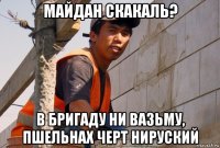 майдан скакаль? в бригаду ни вазьму, пшельнах черт нируский