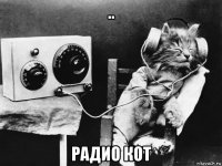 .. радио кот