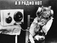 а я радио кот ..