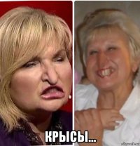  крысы...