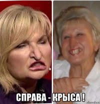  справа - крыса !
