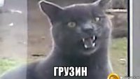  грузин