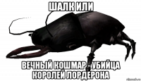 шалк или вечный кошмар - убийца королей лордерона