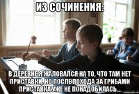 из сочинения: в деревне я жаловался на то, что там нет приставки, но после похода за грибами приставка уже не понадобилась...