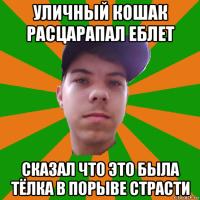 уличный кошак расцарапал еблет сказал что это была тёлка в порыве страсти