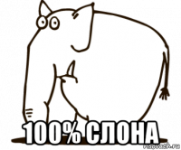  100% слона