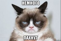немного пахнут