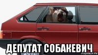  депутат собакевич