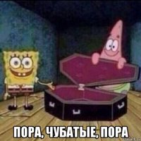  пора, чубатые, пора