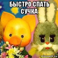 быстро спать сучка 