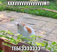 хххуууууууууууууй!! тебеэээээээ !!!