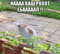 йаааа ваш рооот ебааааал !! 