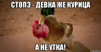 стопэ - девка же курица а не утка!