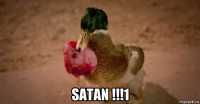  satan !!!1