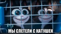  мы слетели с катушек