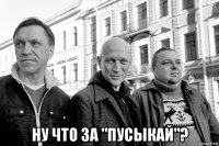  ну что за "пусыкай"?