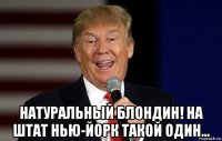  натуральный блондин! на штат нью-йорк такой один...
