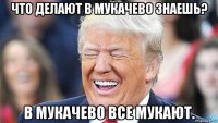 что делают в мукачево знаешь? в мукачево все мукают.