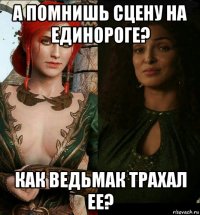 а помнишь сцену на единороге? как ведьмак трахал ее?