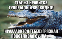 тебе же нравится тупорылый крокодил! нраааавится тебе!)) грязная похотливая сучка . . .