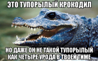 это тупорылый крокодил но даже он не такой тупорылый как четыре урода в твоей тиме