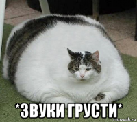  *звуки грусти*