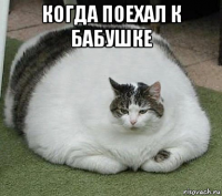 когда поехал к бабушке 