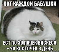 кот каждой бабушки ест по 30 пачек вискеса + 20 косточек в день