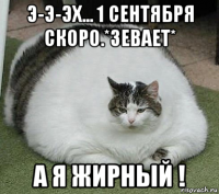 э-э-эх... 1 сентября скоро.*зевает* а я жирный !