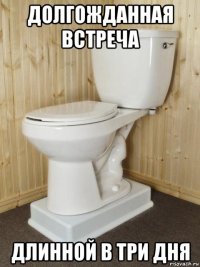 долгожданная встреча длинной в три дня