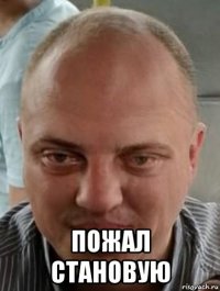  пожал становую