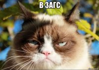 в загс 