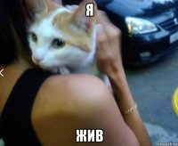 я жив