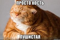 просто кость пушистая