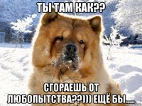 ты там как?? сгораешь от любопытства??))) ещё бы.....